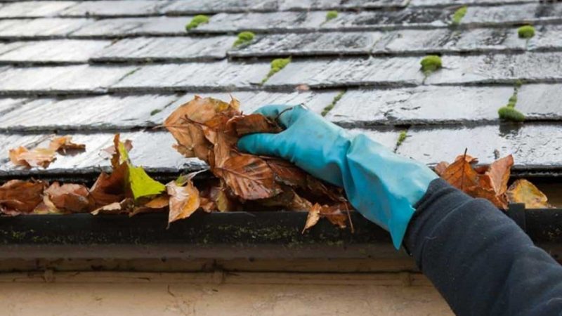 How to keep a healthy roof?