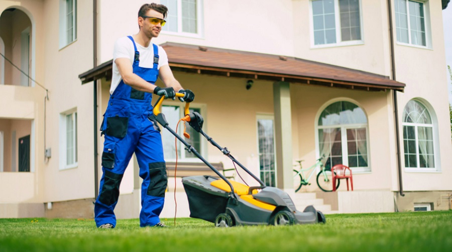 How Lawn Service Helps You Achieve the Perfect Lawn for Your Home